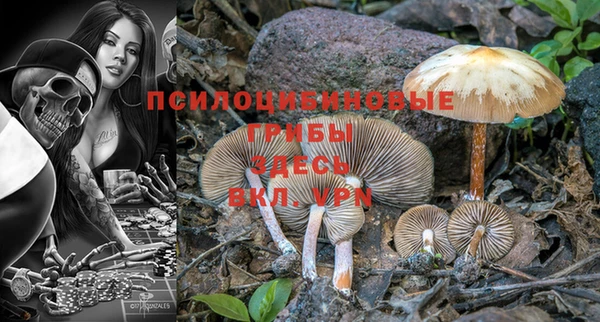 круглые Богородицк