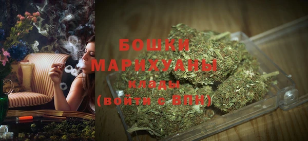 PSILOCYBIN Приозерск