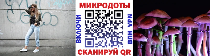 Галлюциногенные грибы мицелий Скопин