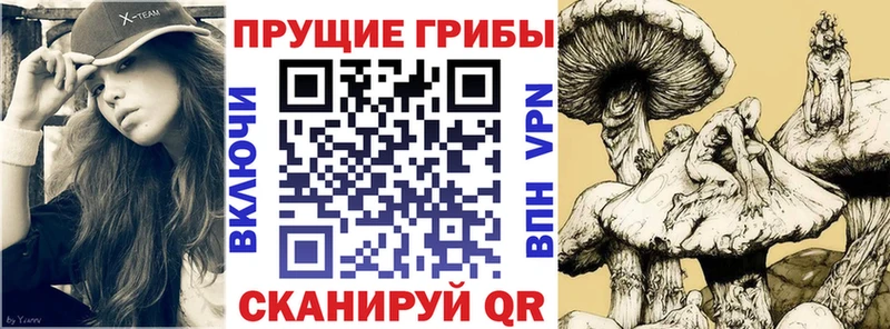 Галлюциногенные грибы Cubensis  Скопин 